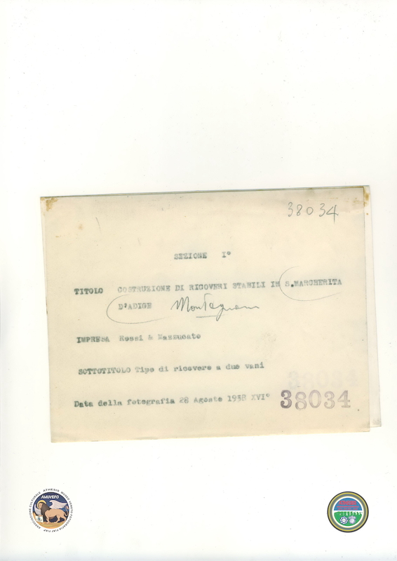 1938 08 28 Santa Margherita d&#039;Adige COSTRUZIONE RICOVERI id_38034 2 retro